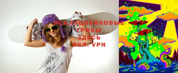 гашик Армянск